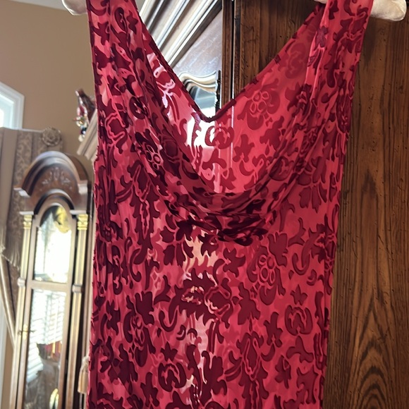 💃🏻💃🏻RED on RED Sexy BurnoutVelvet&Silk biasMaxiDress.SeperateRedSilkSlip.S:6 - Picture 5 of 14